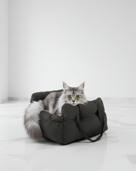 Sac de transport 3 en 1 noir pour chat et chien avec design élégant